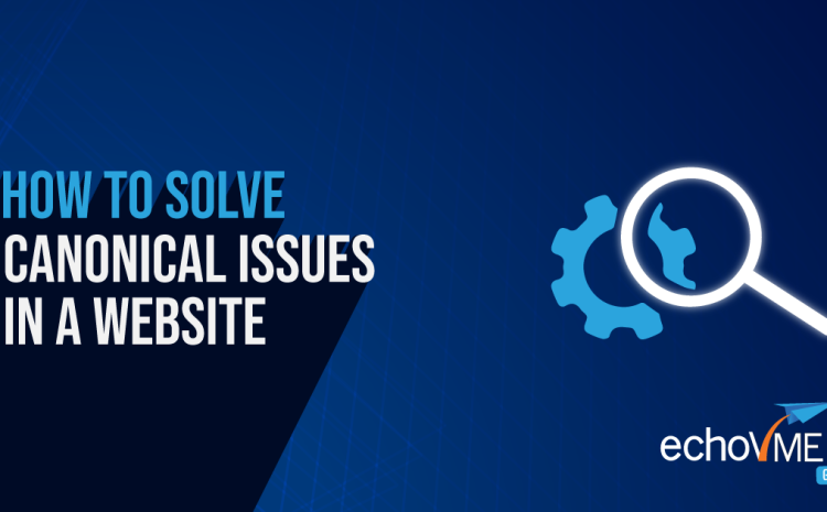  How to Solve Canonical Issues on a Website?